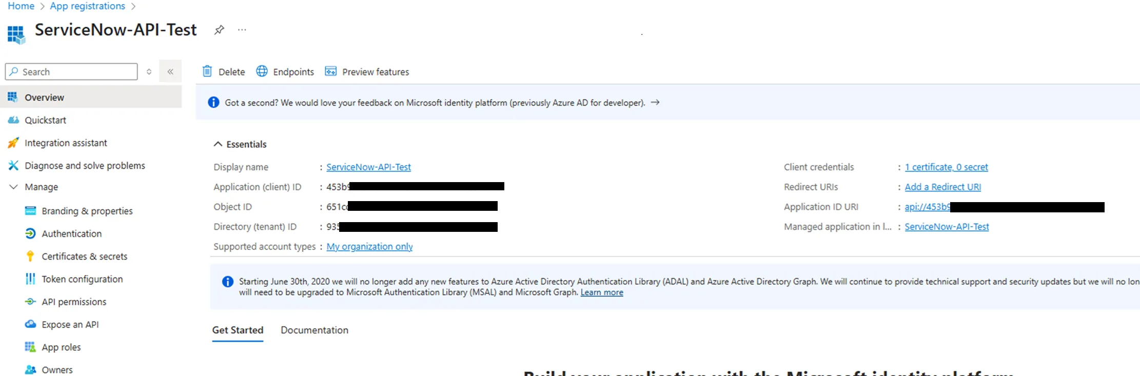 Microsoft Entra ID app registration Overview blade showing the Application (client) ID and Directory (tenant) ID fields